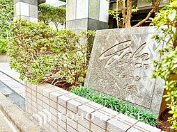 ガラ・ステージ日本橋