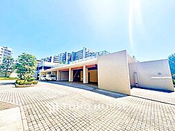 コスモ・ザ・パークス調布多摩川208