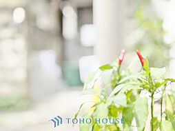 世田谷区桜丘5丁目