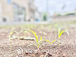 売地 杉並区西荻南1丁目　1区画