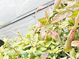 世田谷区下馬3丁目　B号棟