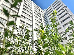高田馬場住宅