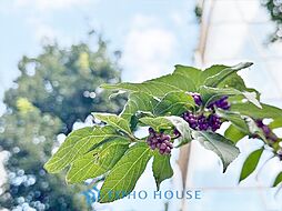 ブリリアタワー池袋