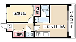 ホワイト ドエル 道徳 603