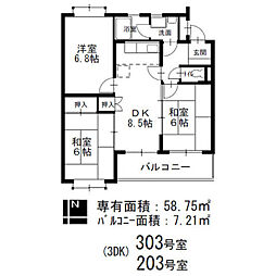 サンサーラ・キトー 303