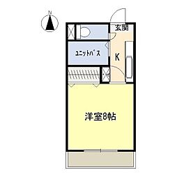 ビダフェリス加藤 205