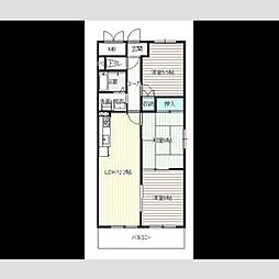 グラフィージュ 101