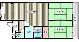 グリーズ本陣 307