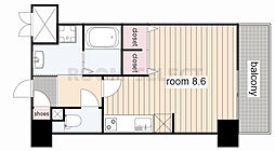 パルティール金山 803