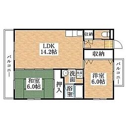 エスペランサ厳樹 203