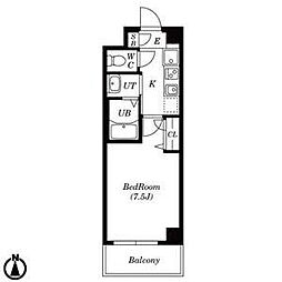 ライスフィールド 203