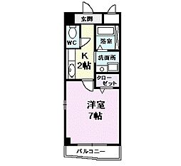 プラシードカーサ 407