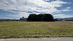 新浜町　建築条件なし売土地