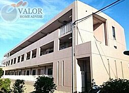 ファインウッド 101