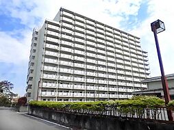 ビレッジハウス栃木日ノ出タワー1号棟 0103