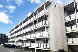 ビレッジハウス針原2号棟 0101