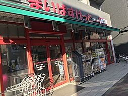 江東区白川2丁目　売地