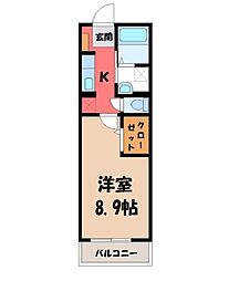 グラシオッソカツラ