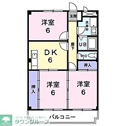 エリデシアフローラ