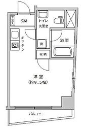 コートブランシュ 204