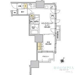 グレーシアフィット三軒茶屋 503