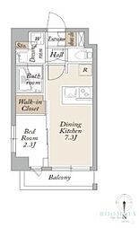 アジールコート武蔵新田 204