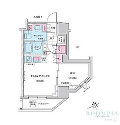 ステラメゾン三軒茶屋 1105