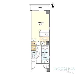 チャールストンビル 202