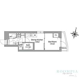 コンフォリア・リヴ目黒碑文谷 209