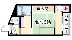 フォレストコート