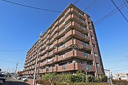 ラビデンス江松