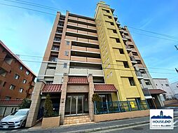 ペット可LDK約22.5帖シャトレ愛松千代田橋