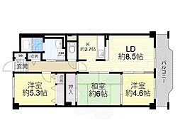 マーベラスコート