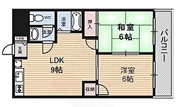 ヒルコートイズミ