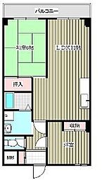 ホワイトパレス大宮 402