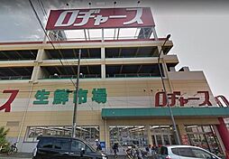 ビッグ武蔵野与野 105