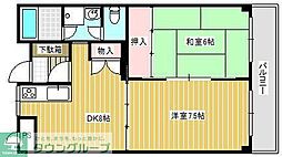 チコラース 30