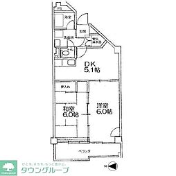 メゾン常盤 503