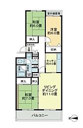 テレパレス船橋三咲Ｂ棟 0104