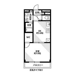 アンプルール フェール モンテ 205