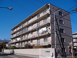 発寒グリーンハイツ1号棟 401