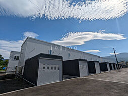 SETTLE ZIII protean F