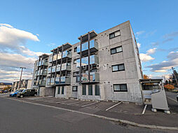 ＡＲＴ　ＨＩＬＬＳ 203