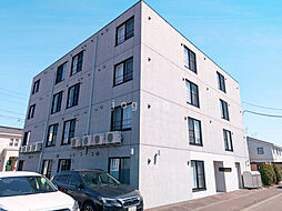 Ａｒｚｕ　Ｔｅｉｎｅ（アルズテイネ） 202