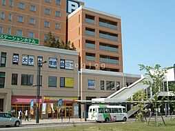 ｆ　ｍａｉｓｏｎ　ｔｅｉｎｅ 401