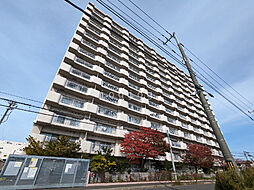 ベルフラワー八軒 408