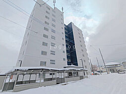 ＰＡＴＩＯ　ＨＯＳＨＩＭＩ