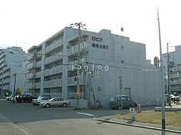 ロピア稲積公園II