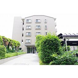 リファインドレリシュ 303