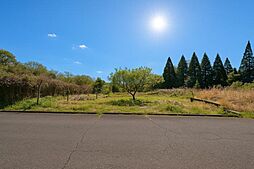 相楽郡南山城村大字田山小字三ツ石の土地